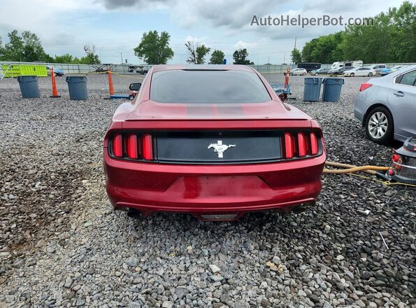 1FA6P8AM2G5212147 2016 FORD MUSTANG Бордовый Вид сзади