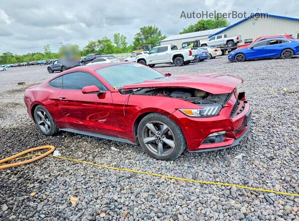 1FA6P8AM2G5212147 2016 FORD MUSTANG Бордовый Передняя правая четверть