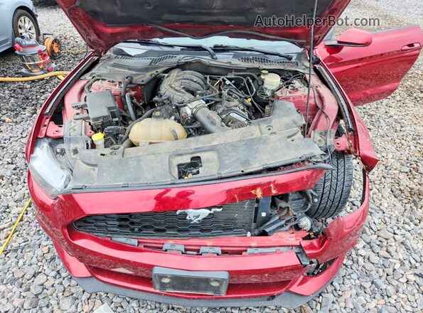 1FA6P8AM2G5212147 2016 FORD MUSTANG Бордовый Вид задней части салона