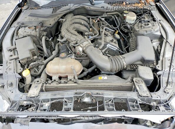 1FA6P8AM2G5280951 2016 FORD MUSTANG Gray Սալոնի հետևի տեսք