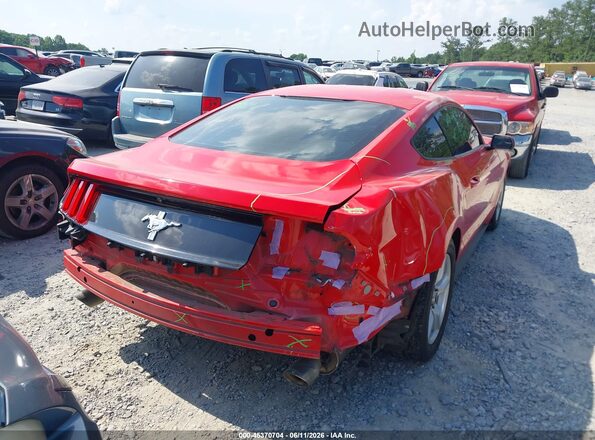 1FA6P8AM2H5228107 2017 FORD MUSTANG Red Tył prawy