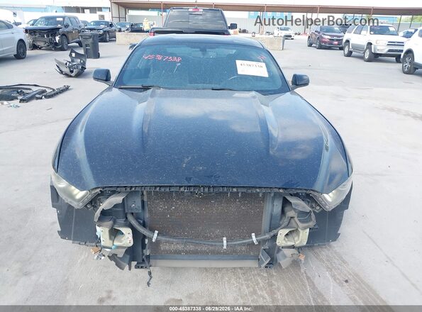 1FA6P8AM3G5228986 2016 FORD MUSTANG Black Սալոնի հետևի տեսք