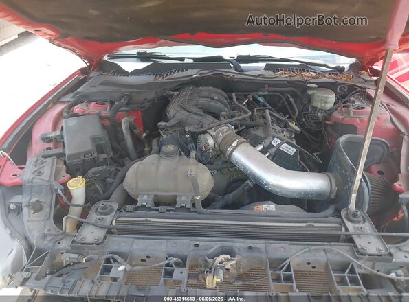 1FA6P8AM3H5332766 2017 FORD MUSTANG Red Вид ззаду