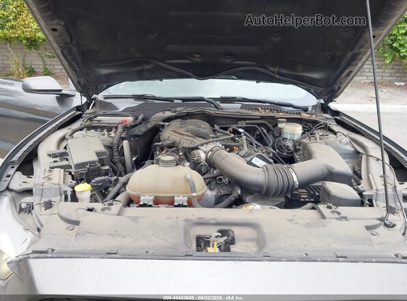 1FA6P8AM4H5213978 2017 FORD MUSTANG Серый Вид сзади