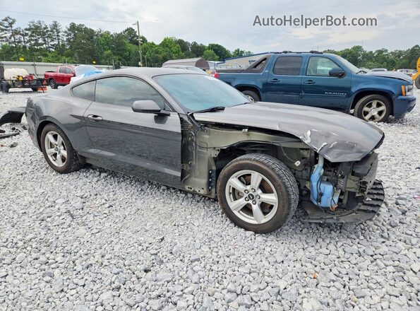 1FA6P8AM5H5244155 2017 FORD MUSTANG Gray 