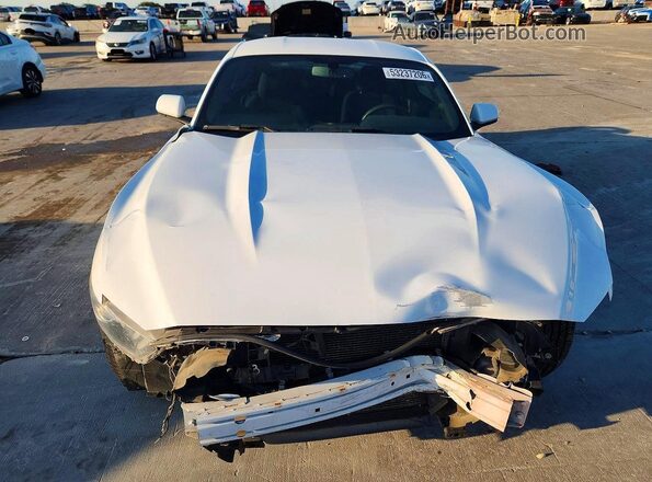 1FA6P8AM5H5302202 2017 FORD MUSTANG White 
