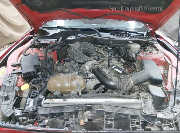 1FA6P8AM6G5215892 2016 FORD MUSTANG Красный Вид сзади