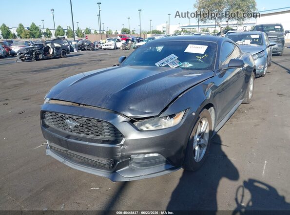 1FA6P8AM6G5303566 2016 FORD MUSTANG Gray Դիմացի տեսք
