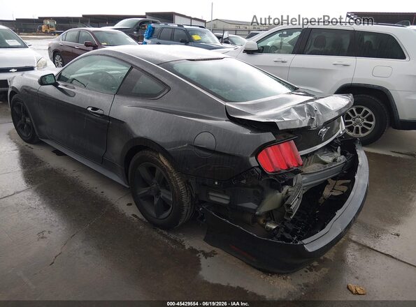 1FA6P8AM6H5247419 2017 FORD MUSTANG Gray უკანა მარცხენა