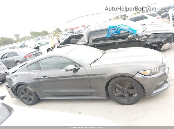 1FA6P8AM6H5247419 2017 FORD MUSTANG Gray უკანა სალონის ხედი