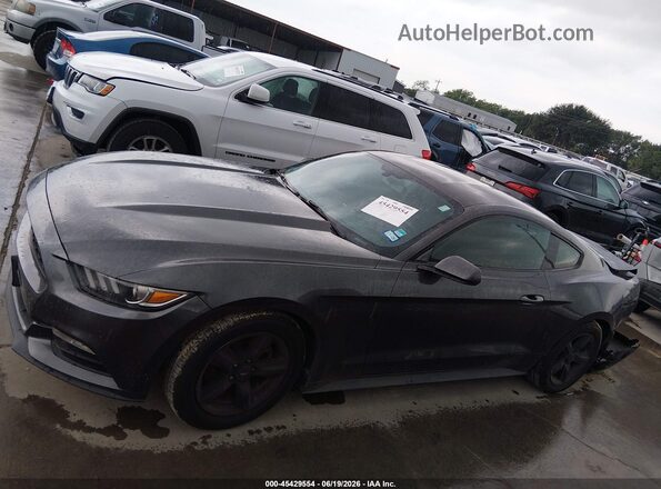 1FA6P8AM6H5247419 2017 FORD MUSTANG Gray სალონის 360-გრადუსიანი ხედი