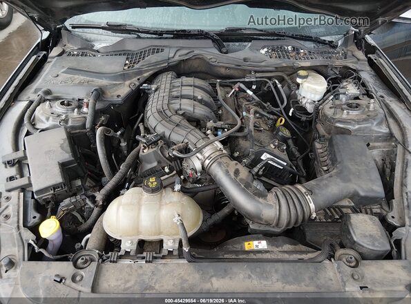 1FA6P8AM6H5247419 2017 FORD MUSTANG Gray უკანა ხედი
