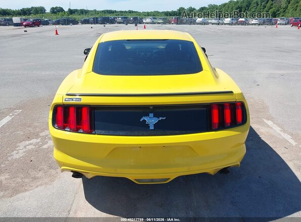 1FA6P8AM6H5299052 2017 FORD MUSTANG Yellow 