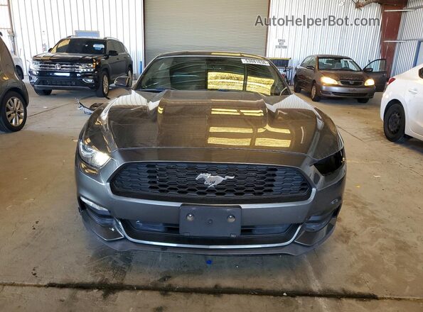 1FA6P8AM6H5310051 2017 FORD MUSTANG Charcoal 