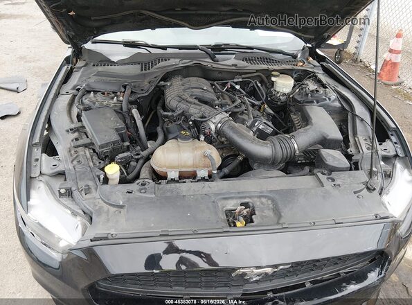 1FA6P8AM7G5302913 2016 FORD MUSTANG Black Widok z tyłu