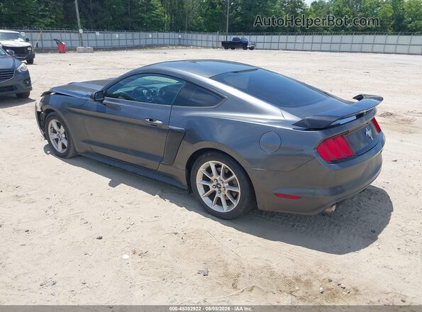1FA6P8AM7H5236977 2017 FORD MUSTANG Gray Rear left
