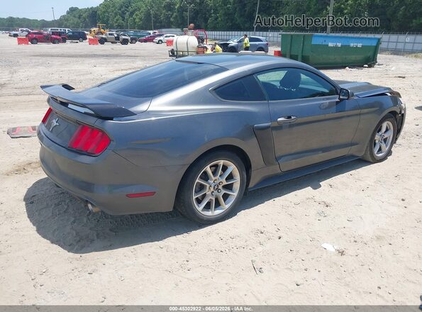 1FA6P8AM7H5236977 2017 FORD MUSTANG Gray Rear right