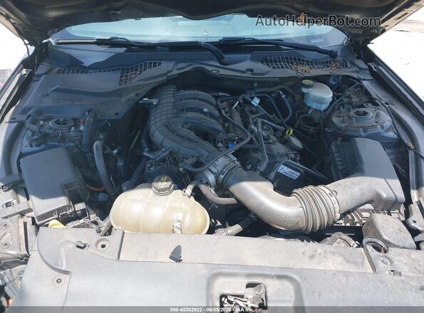 1FA6P8AM7H5236977 2017 FORD MUSTANG Gray Rear view