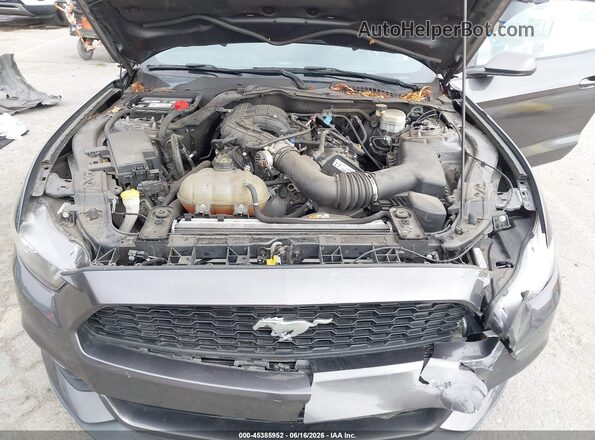 1FA6P8AM7H5301214 2017 FORD MUSTANG Gray უკანა ხედი
