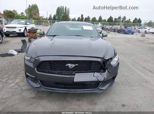 1FA6P8AM7H5301214 2017 FORD MUSTANG Gray უკანა სალონის ხედი