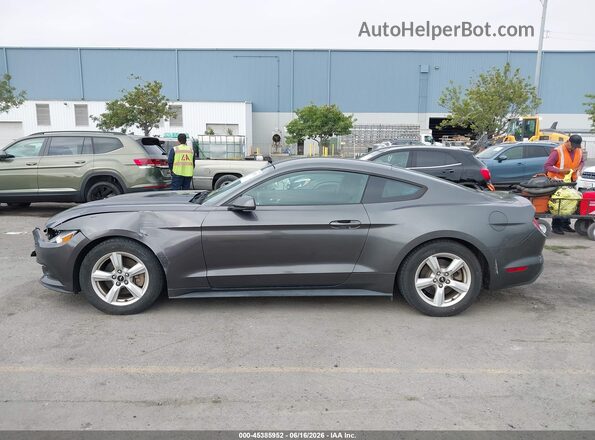 1FA6P8AM7H5301214 2017 FORD MUSTANG Gray 