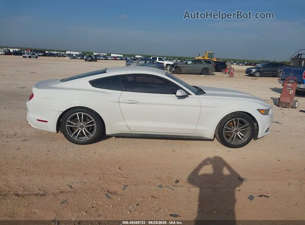 1FA6P8AM8G5206434 2016 FORD MUSTANG White Rear interior view