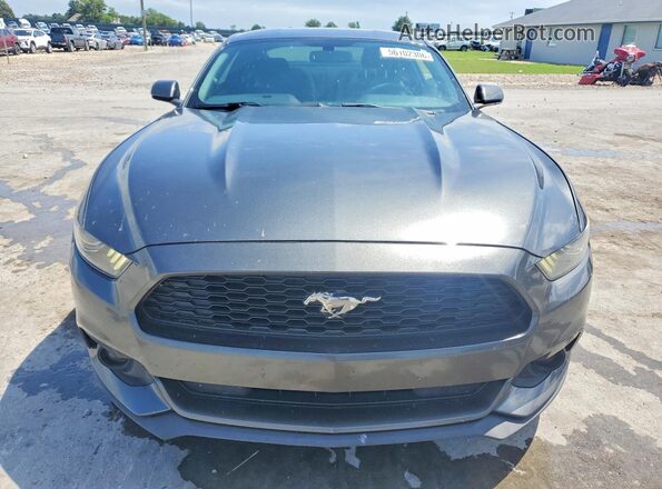 1FA6P8AM8G5251034 2016 FORD MUSTANG Gray Widok z przodu