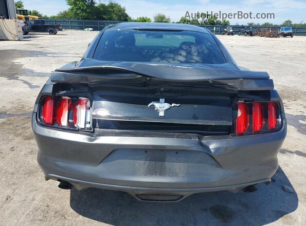 1FA6P8AM8G5251034 2016 FORD MUSTANG Gray Widok z tyłu