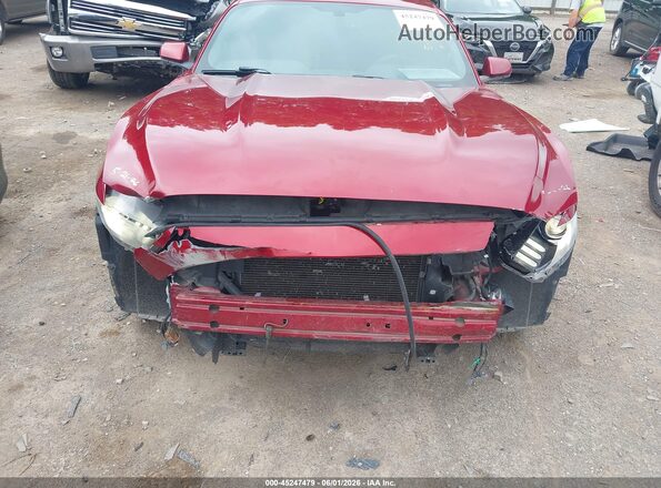 1FA6P8AM8G5296068 2016 FORD MUSTANG Red 