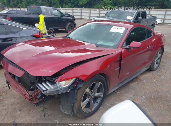 1FA6P8AM8G5296068 2016 FORD MUSTANG Red 