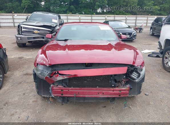 1FA6P8AM8G5296068 2016 FORD MUSTANG Red 