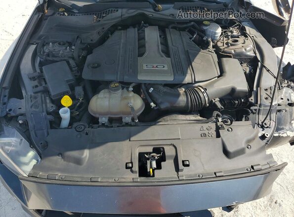 1FA6P8CF0K5103712 2019 FORD MUSTANG Gray Rear interior view