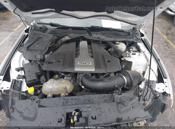 1FA6P8CF0K5152117 2019 FORD MUSTANG White Rear view