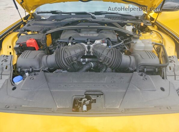 1FA6P8CF0R5415569 2024 FORD MUSTANG Yellow Вид задньої частини салону