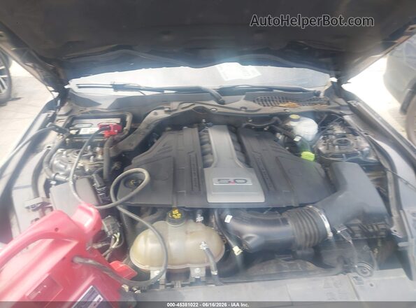 1FA6P8CF2K5116669 2019 FORD MUSTANG Black უკანა ხედი