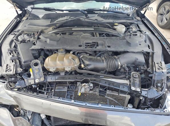 1FA6P8CF2K5192585 2019 FORD MUSTANG Gray Rear interior view