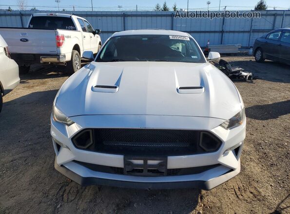 1FA6P8CF2K5201785 2019 FORD MUSTANG White 