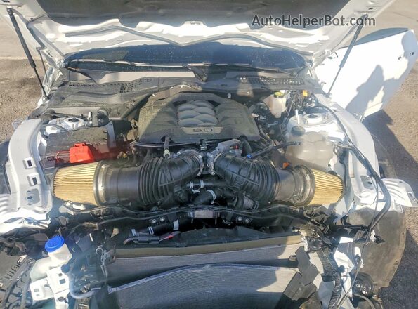 1FA6P8CF2R5417775 2024 FORD MUSTANG White უკანა სალონის ხედი