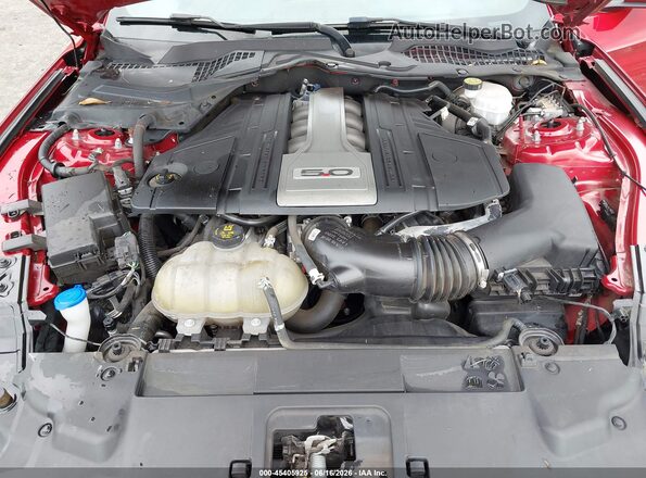 1FA6P8CF3L5190412 2020 FORD MUSTANG Red Հետևի տեսք