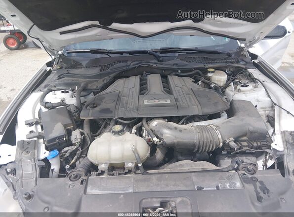 1FA6P8CF3P5307167 2023 FORD MUSTANG White უკანა ხედი