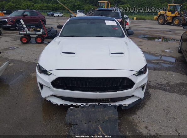 1FA6P8CF3P5307167 2023 FORD MUSTANG White უკანა სალონის ხედი