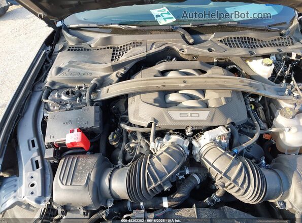 1FA6P8CF3R5403609 2024 FORD MUSTANG Серый Вид сзади