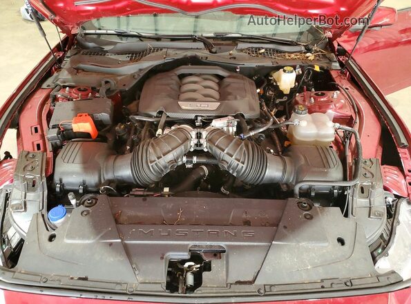 1FA6P8CF3S5411103 2025 FORD MUSTANG Бордовый Вид задней части салона