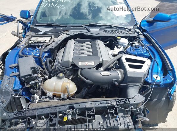 1FA6P8CF4H5333441 2017 FORD MUSTANG Blue Widok z tyłu