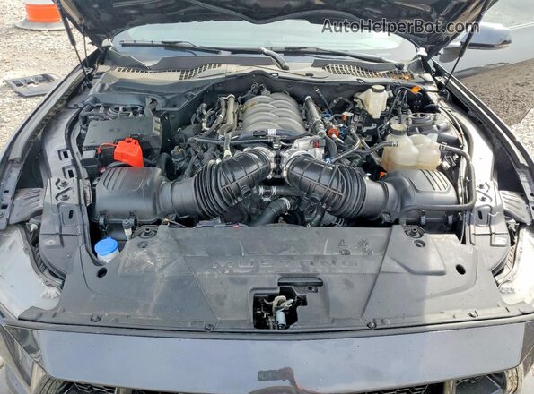 1FA6P8CF4R5436263 2024 FORD MUSTANG Charcoal Widok wnętrza z tyłu