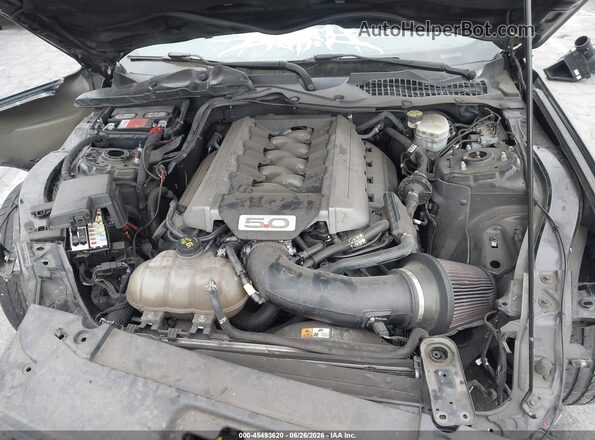 1FA6P8CF5G5246274 2016 FORD MUSTANG Black Widok z tyłu