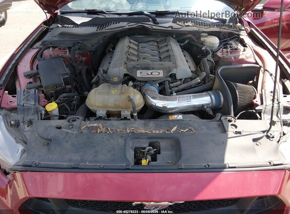 1FA6P8CF5G5302102 2016 FORD MUSTANG Красный Вид сзади