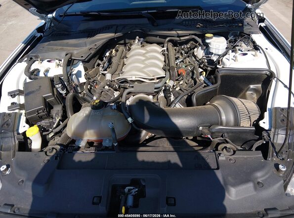 1FA6P8CF5K5120103 2019 FORD MUSTANG White Rear view