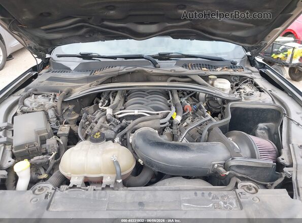 1FA6P8CF6K5134057 2019 FORD MUSTANG Серый Вид сзади