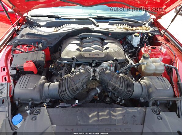 1FA6P8CF6R5400056 2024 FORD MUSTANG Red Вид ззаду